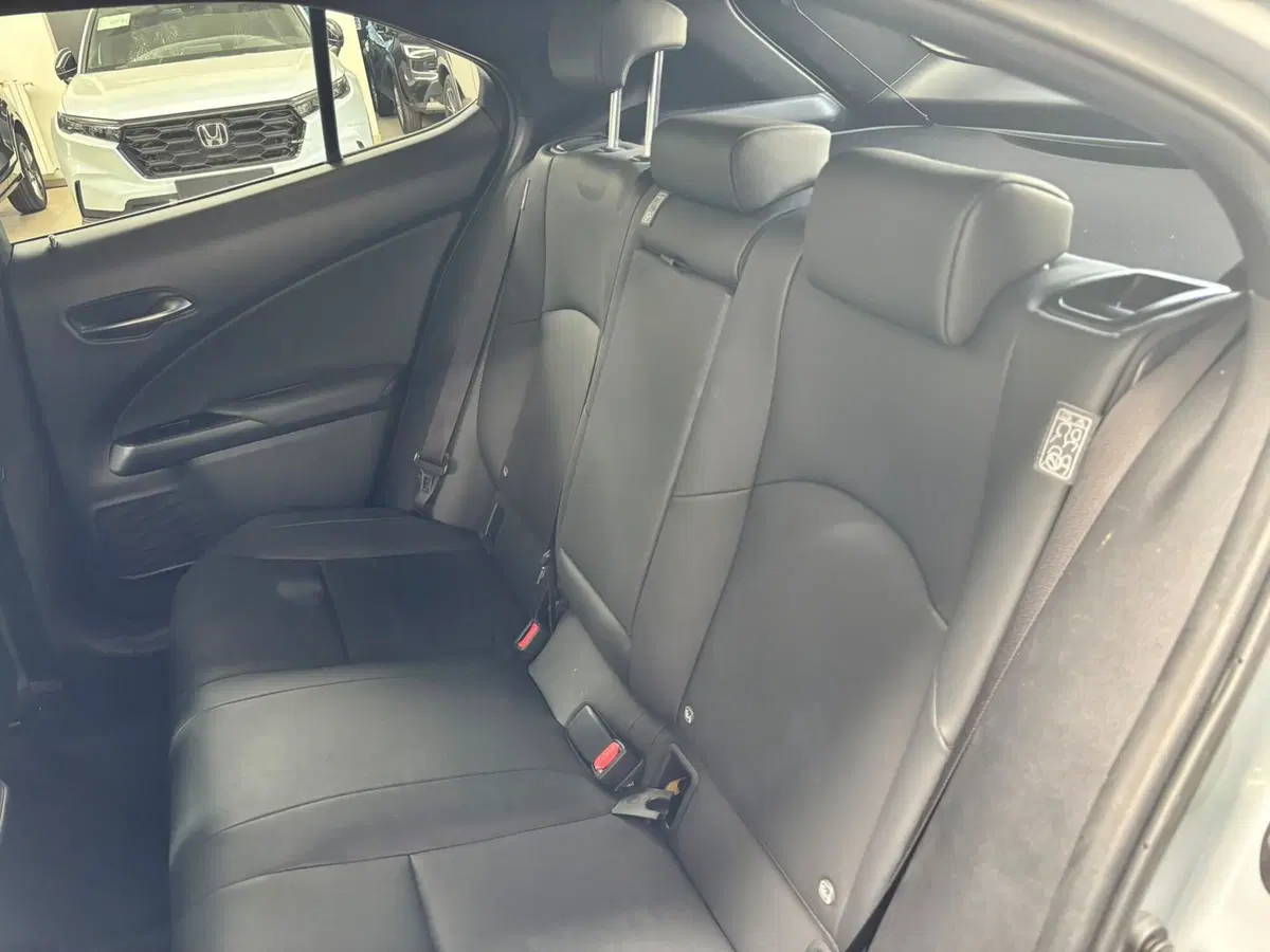 Lexus UX usata a Modena (14)