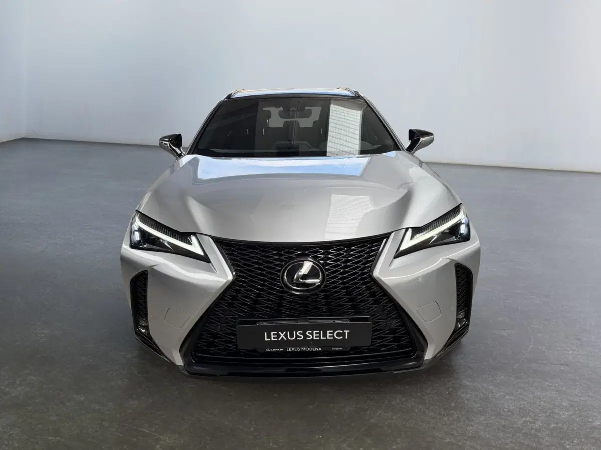 Lexus UX usata a Modena (2)