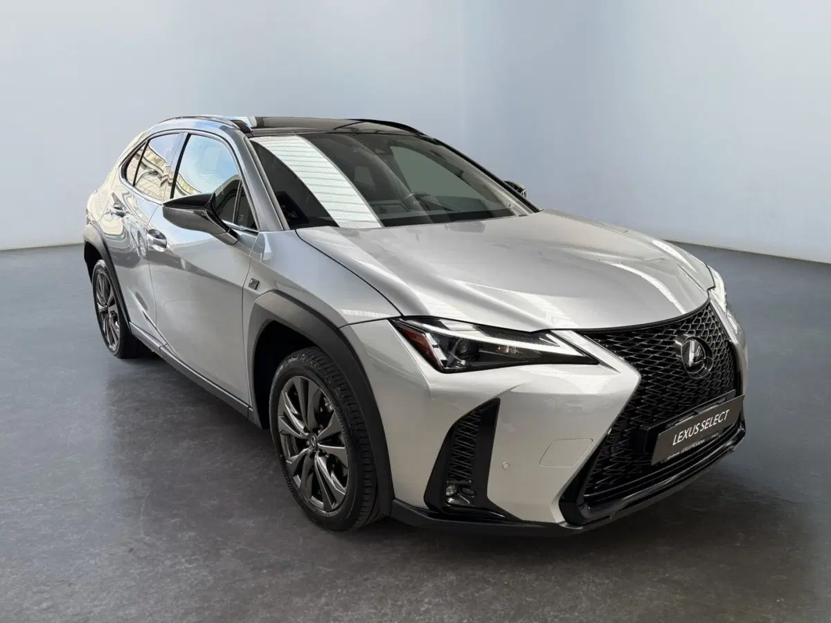 Lexus UX usata a Modena (3)