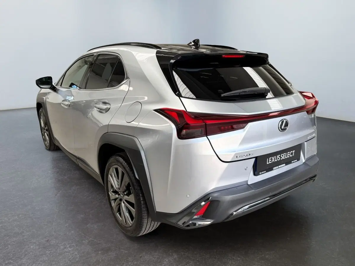 Lexus UX usata a Modena (8)