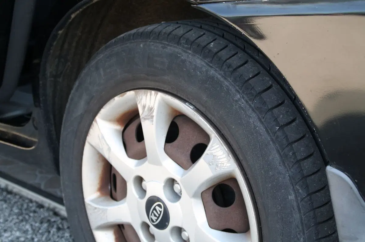Kia Carens usata a Pordenone (13)