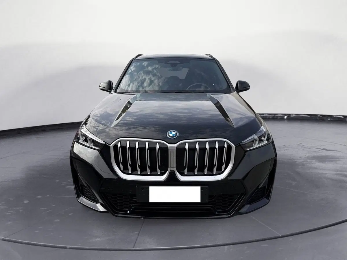 BMW X1 usata a Cuneo (3)