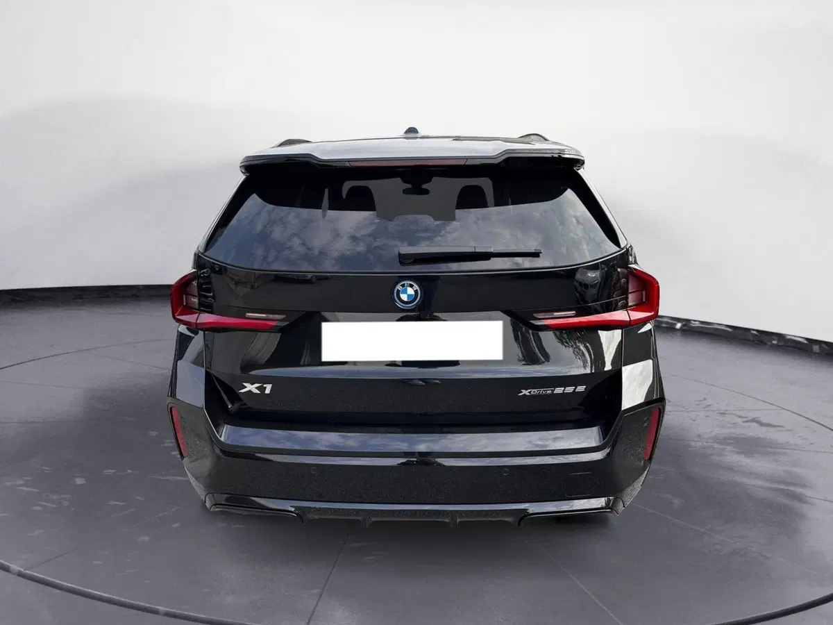 BMW X1 usata a Cuneo (4)