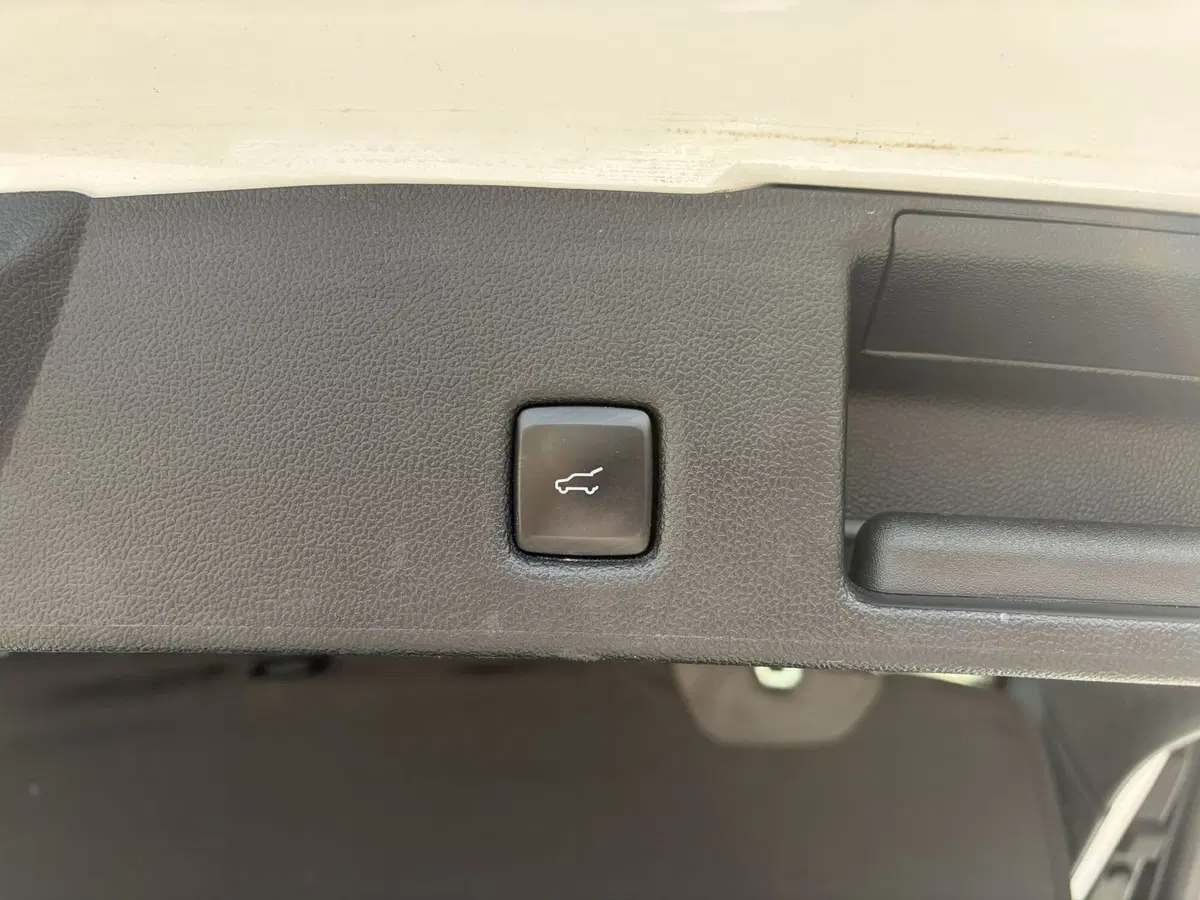 Ford Kuga usata a Vercelli (8)