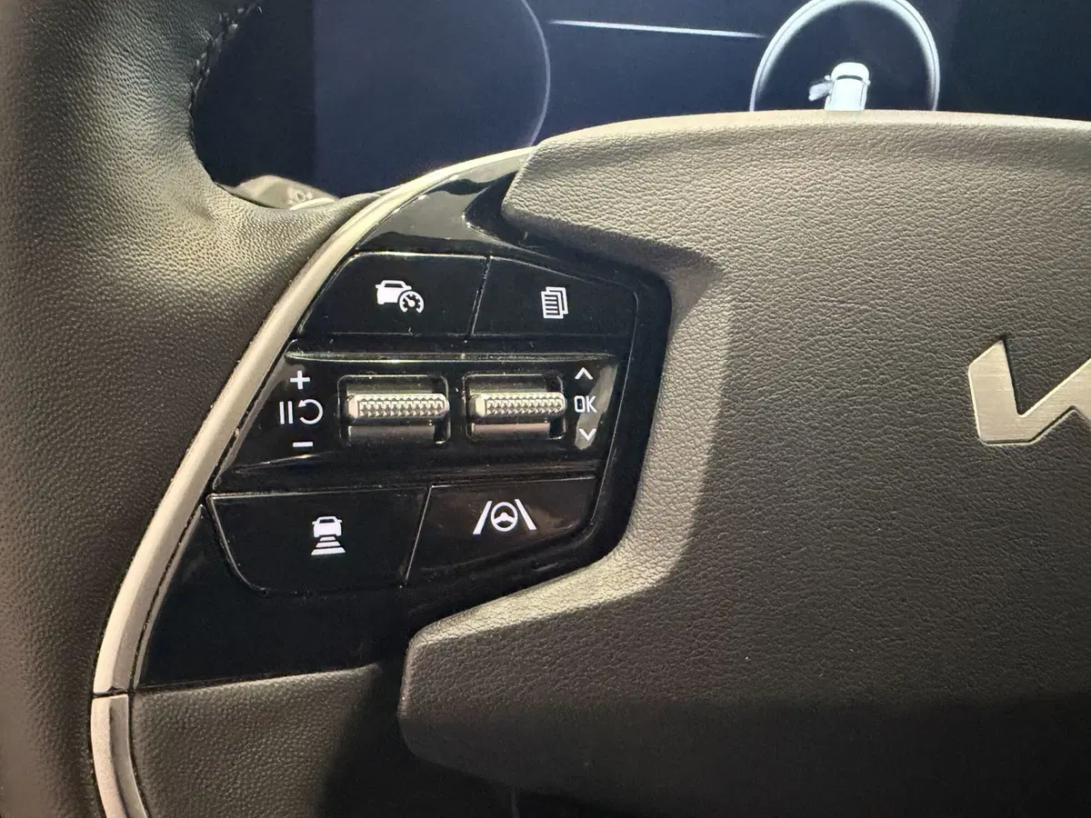 Kia Niro usata a Vercelli (15)