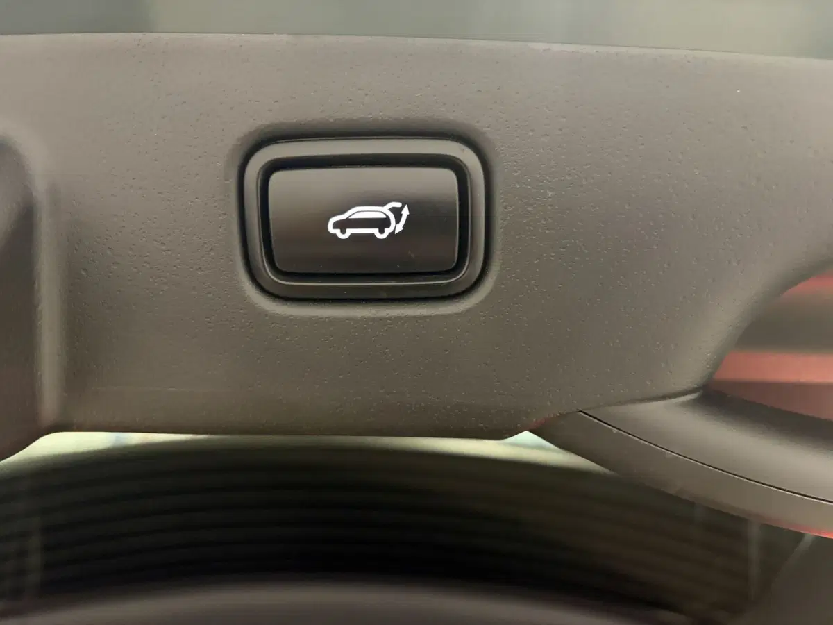 Kia Niro usata a Vercelli (5)