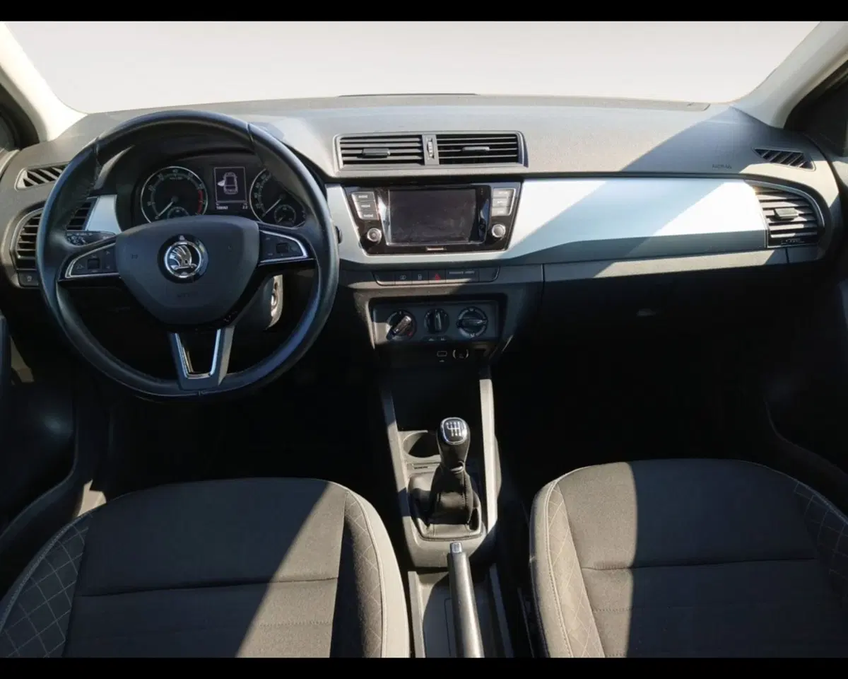 Skoda Fabia usata a Ravenna (10)