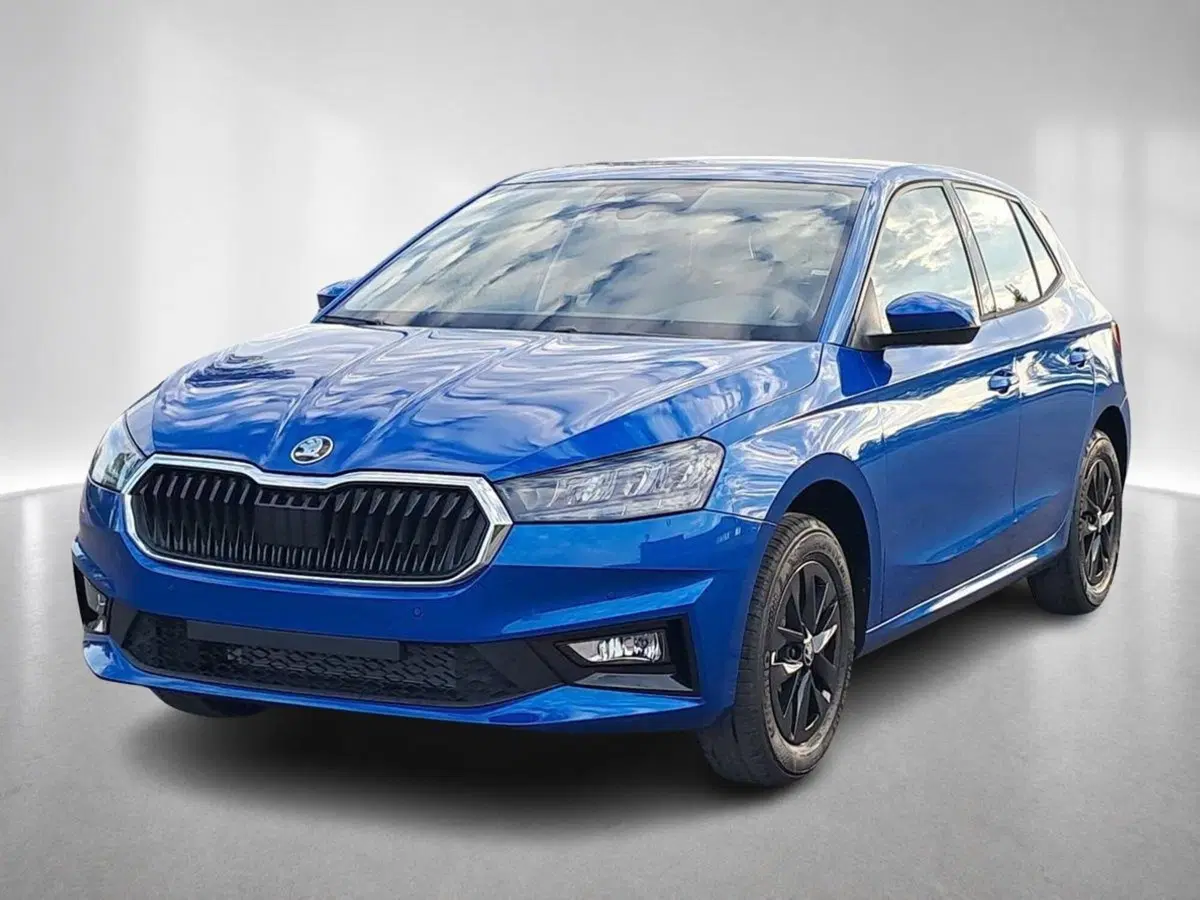 Skoda Fabia nuova a Ravenna