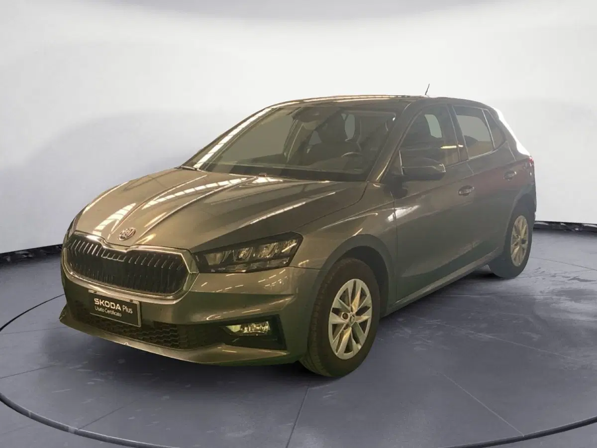 Skoda Fabia usata a Reggio Calabria