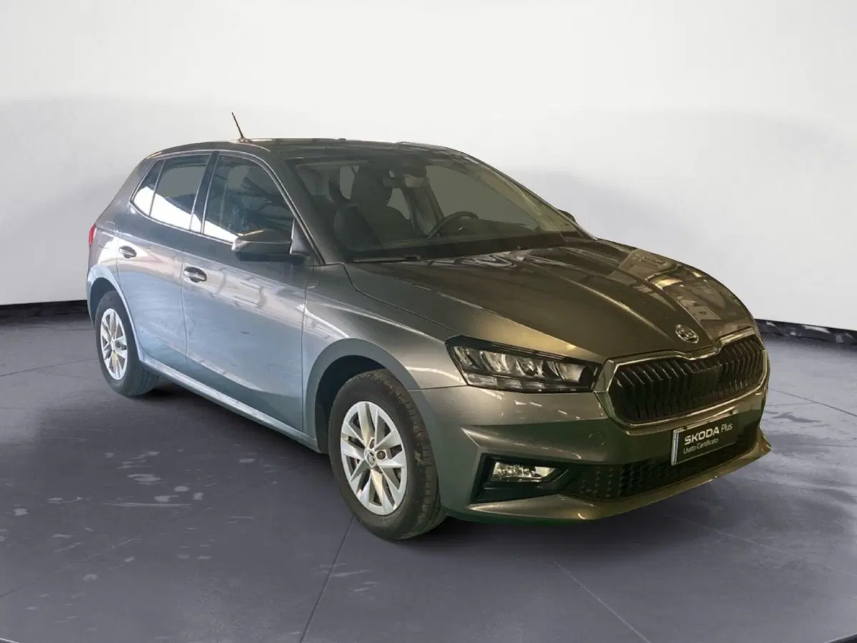 Skoda Fabia usata a Reggio Calabria (3)