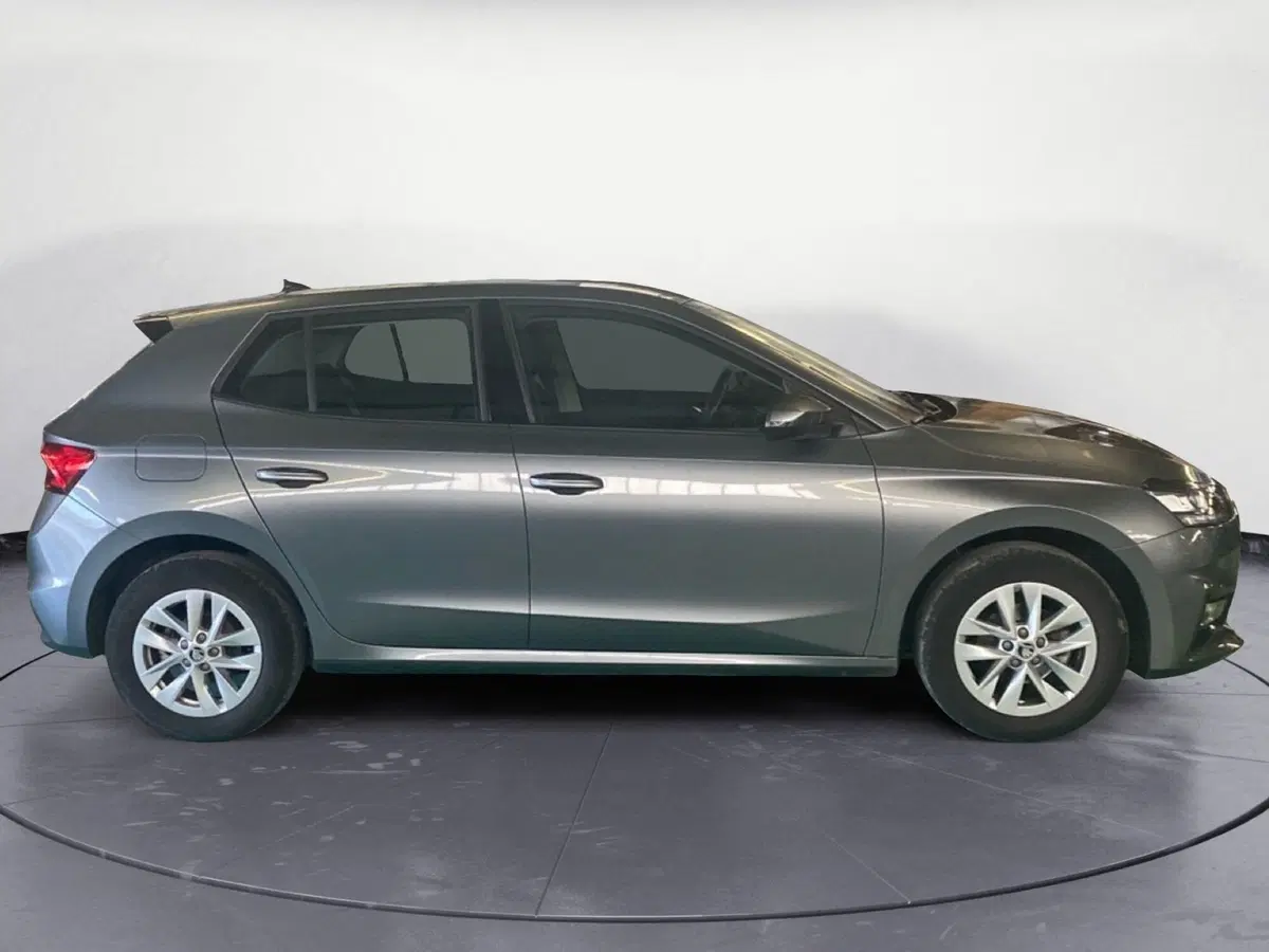 Skoda Fabia usata a Reggio Calabria (4)
