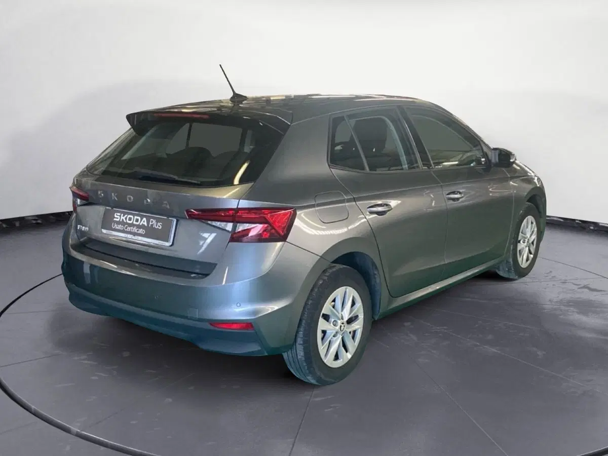 Skoda Fabia usata a Reggio Calabria (5)