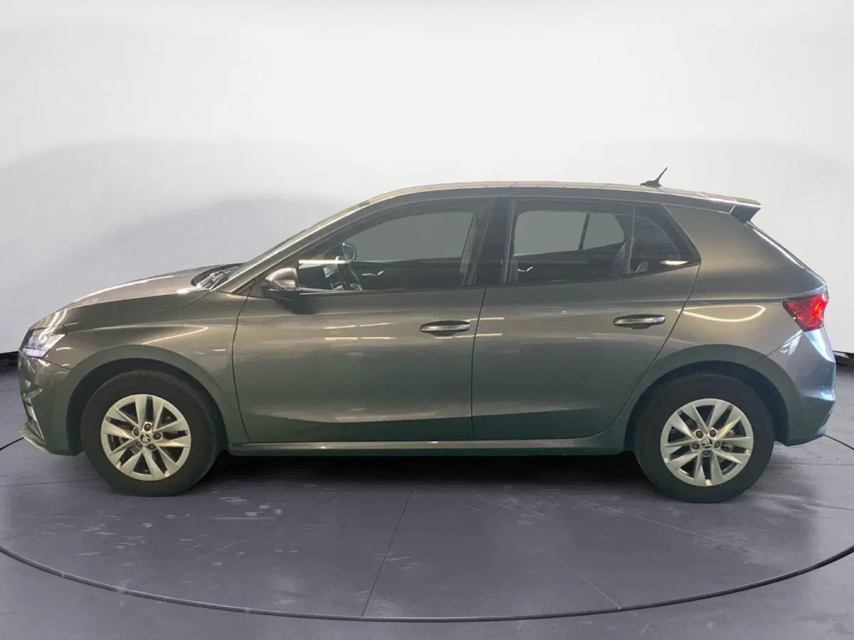 Skoda Fabia usata a Reggio Calabria (8)