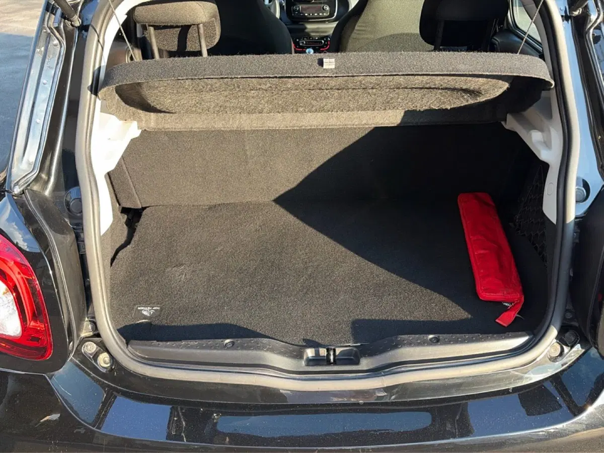 smart forfour usata a Lucca (16)