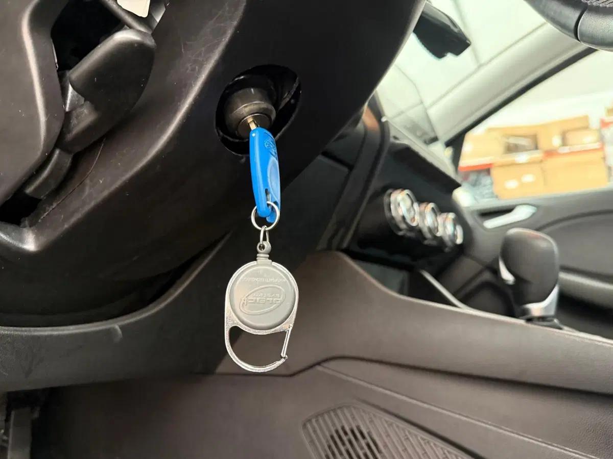 Renault Clio usata a Massa-Carrara (14)