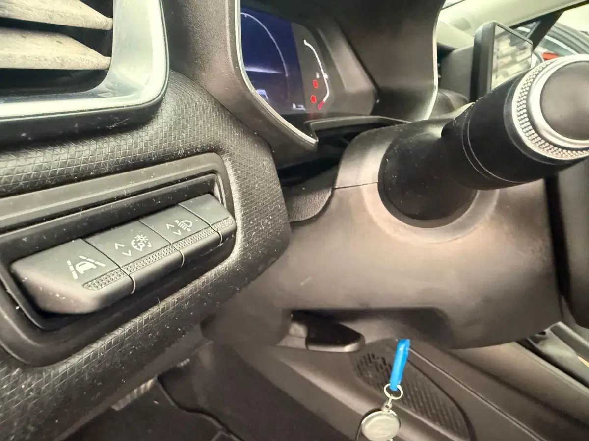 Renault Clio usata a Massa-Carrara (15)