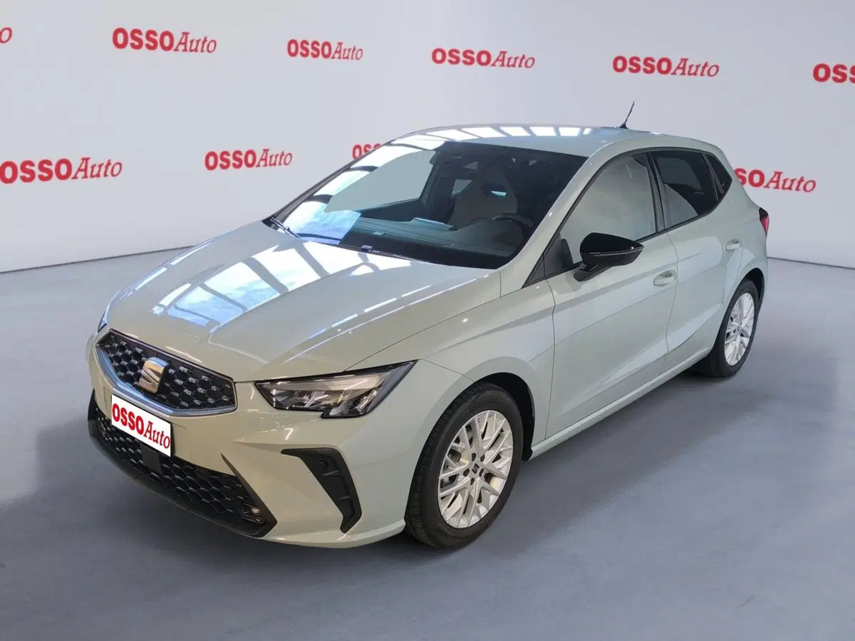SEAT Ibiza usata a Udine