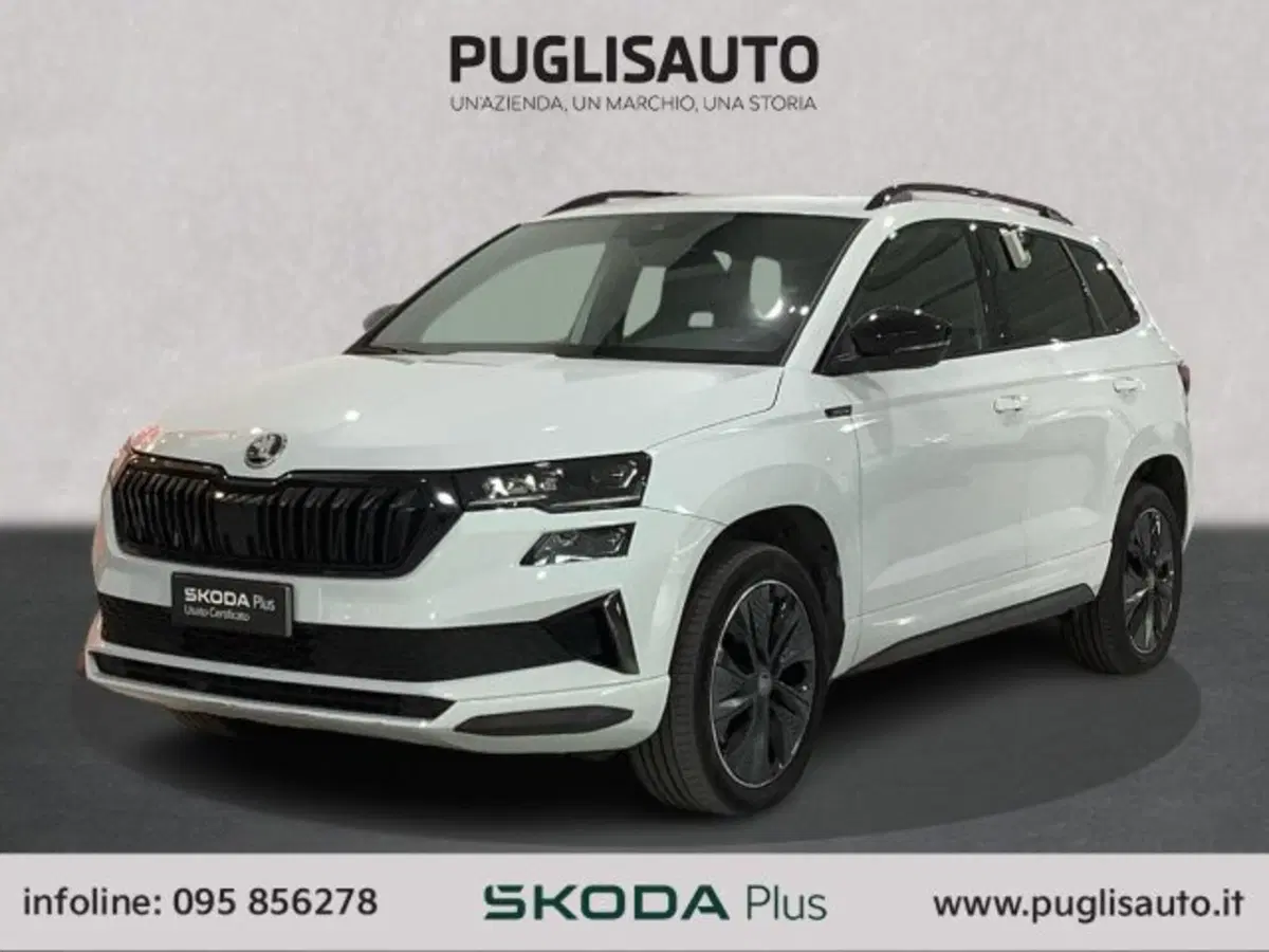 Skoda Karoq usata a Catania (3)