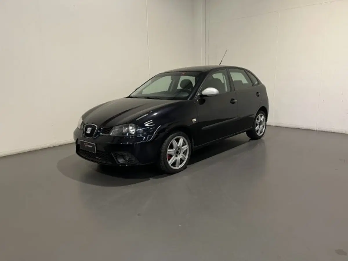 SEAT Ibiza usata a Treviso (2)
