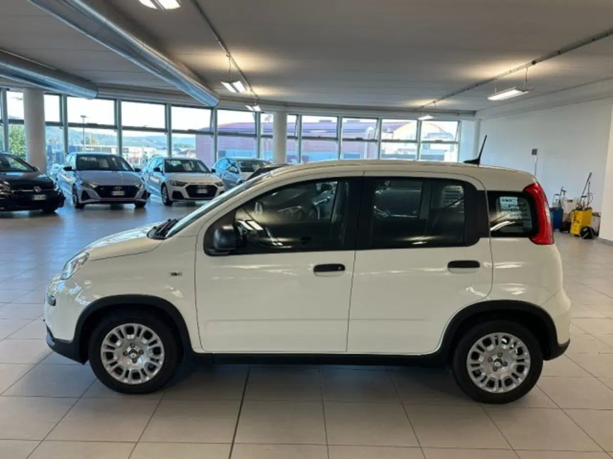 Fiat Panda usata a Cuneo (4)
