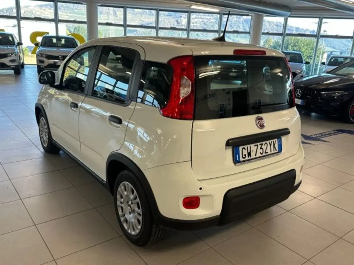 Fiat Panda usata a Cuneo (5)