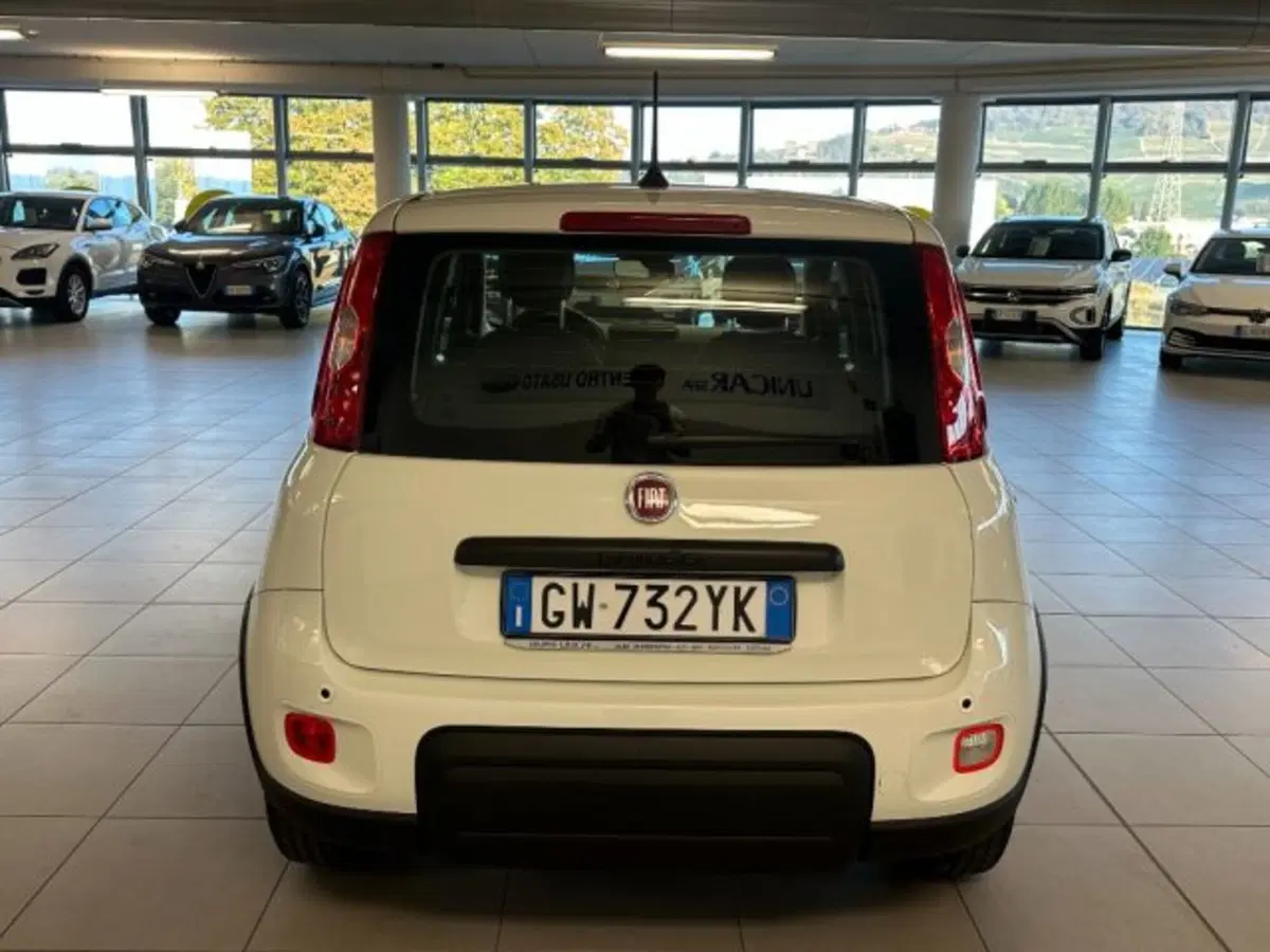 Fiat Panda usata a Cuneo (6)