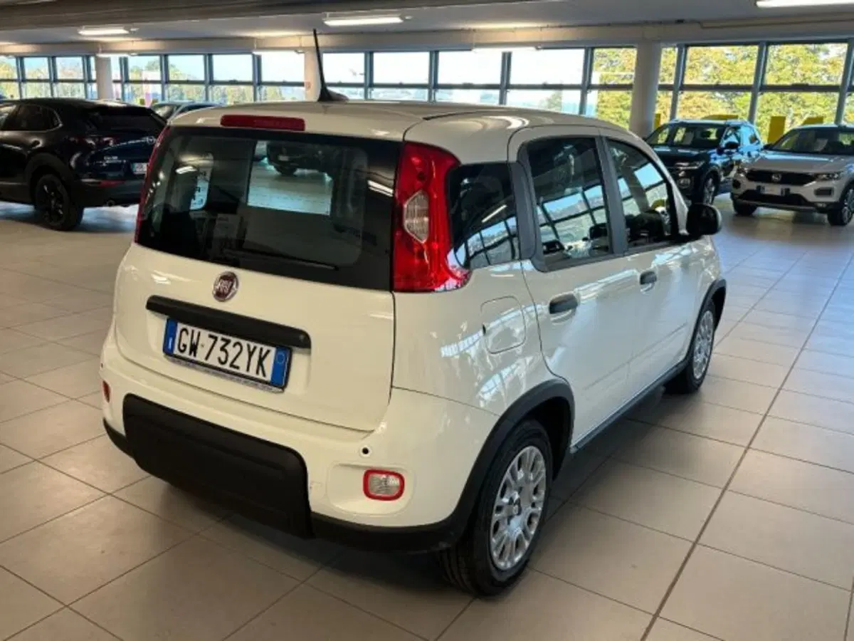 Fiat Panda usata a Cuneo (7)