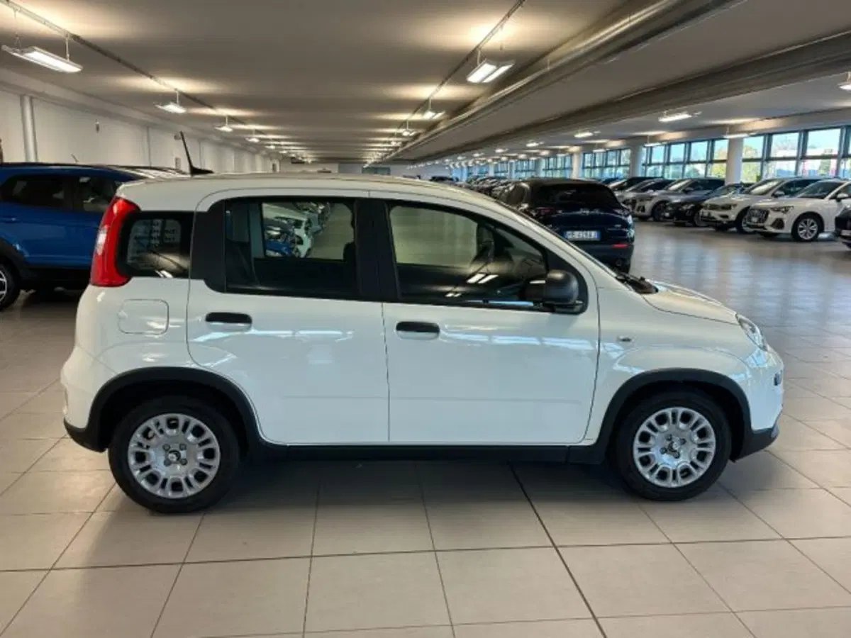Fiat Panda usata a Cuneo (8)