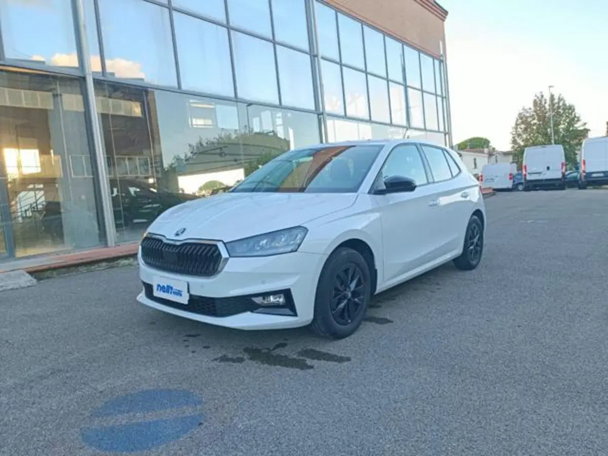 Skoda Fabia usata a Pisa (16)