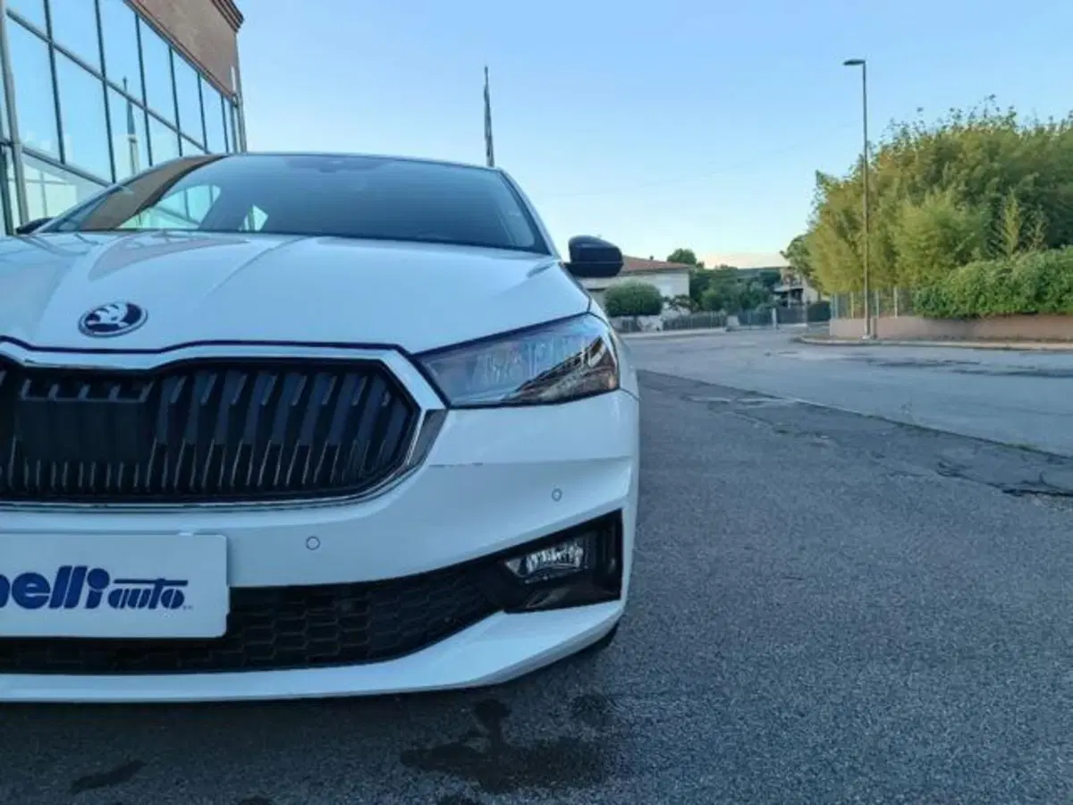 Skoda Fabia usata a Pisa (17)