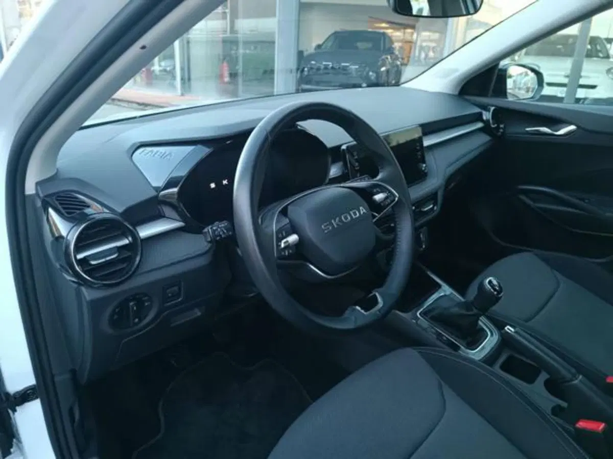 Skoda Fabia usata a Pisa (3)
