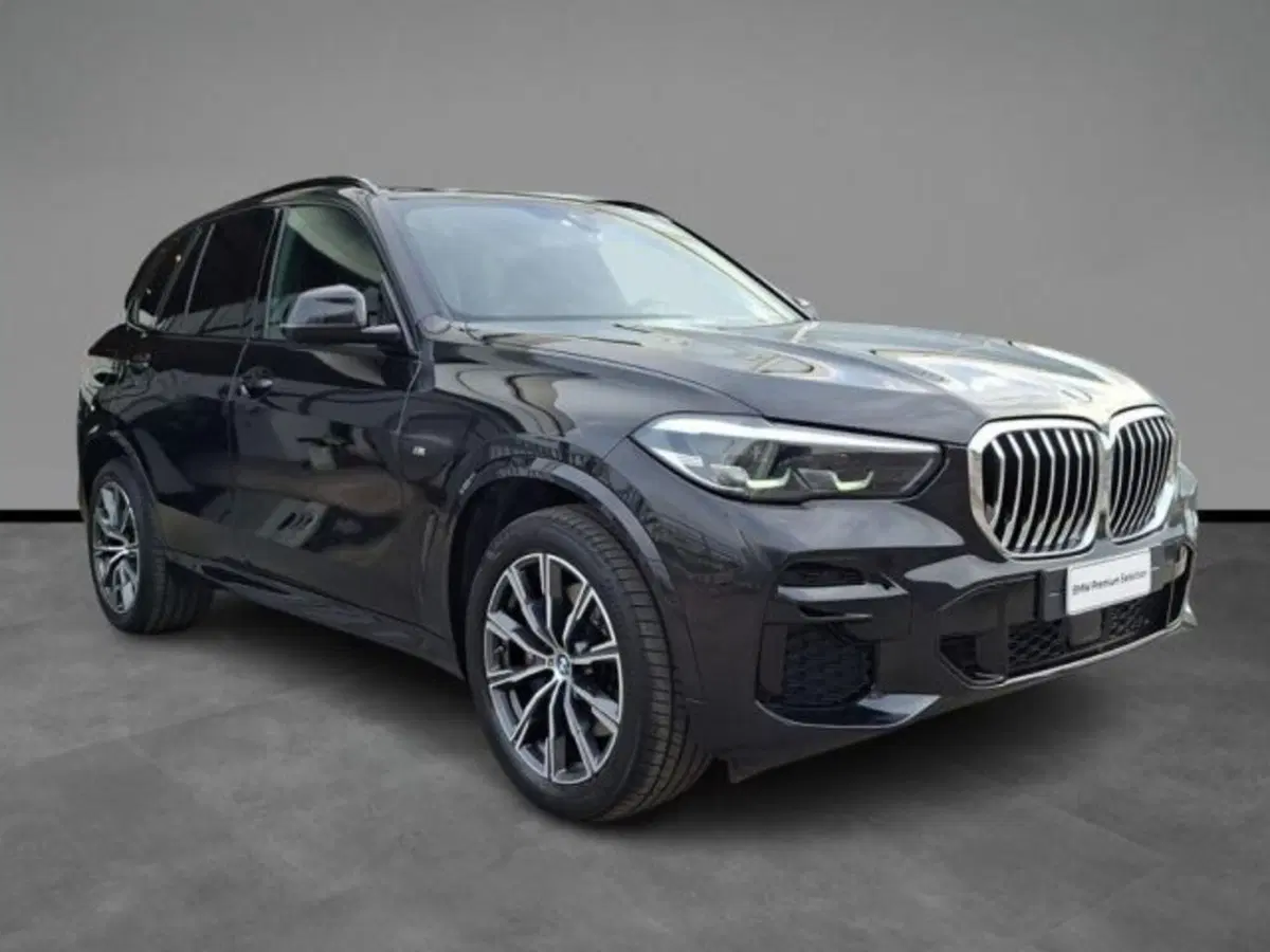 BMW X5 usata a Verona (16)