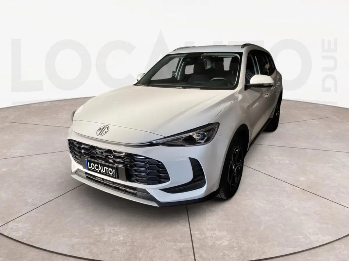 Mg ZS usata a Torino