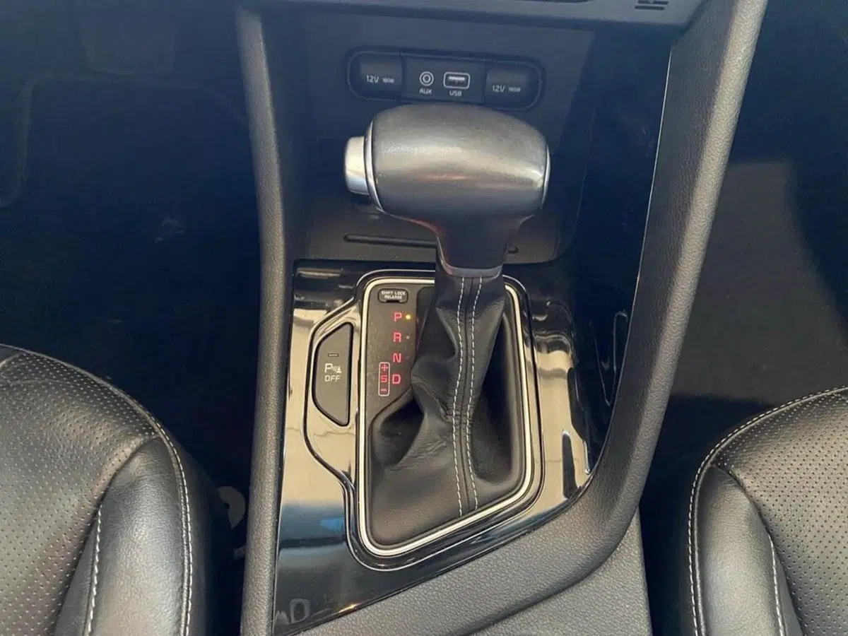 Kia Niro usata a Torino (12)