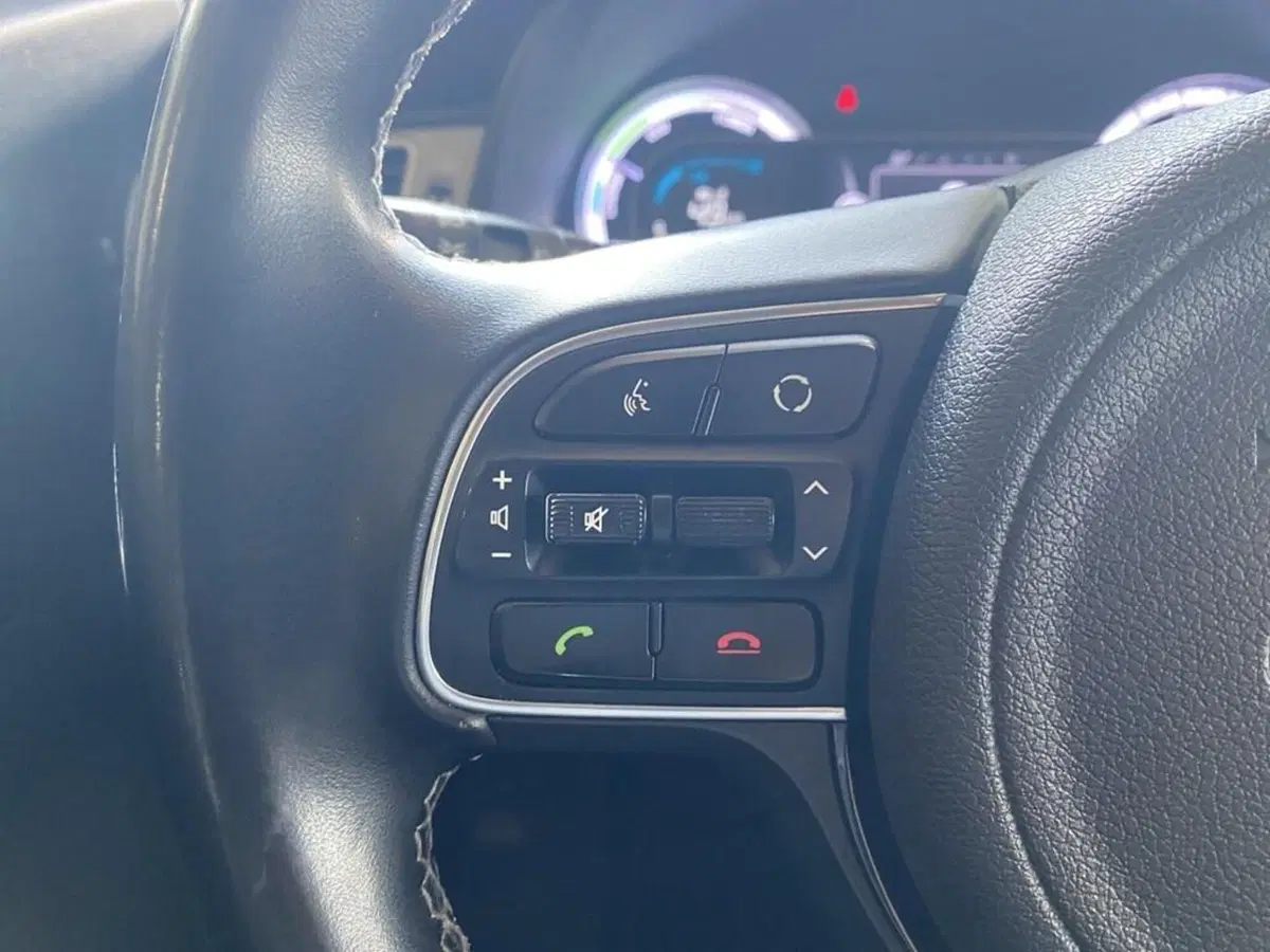 Kia Niro usata a Torino (13)