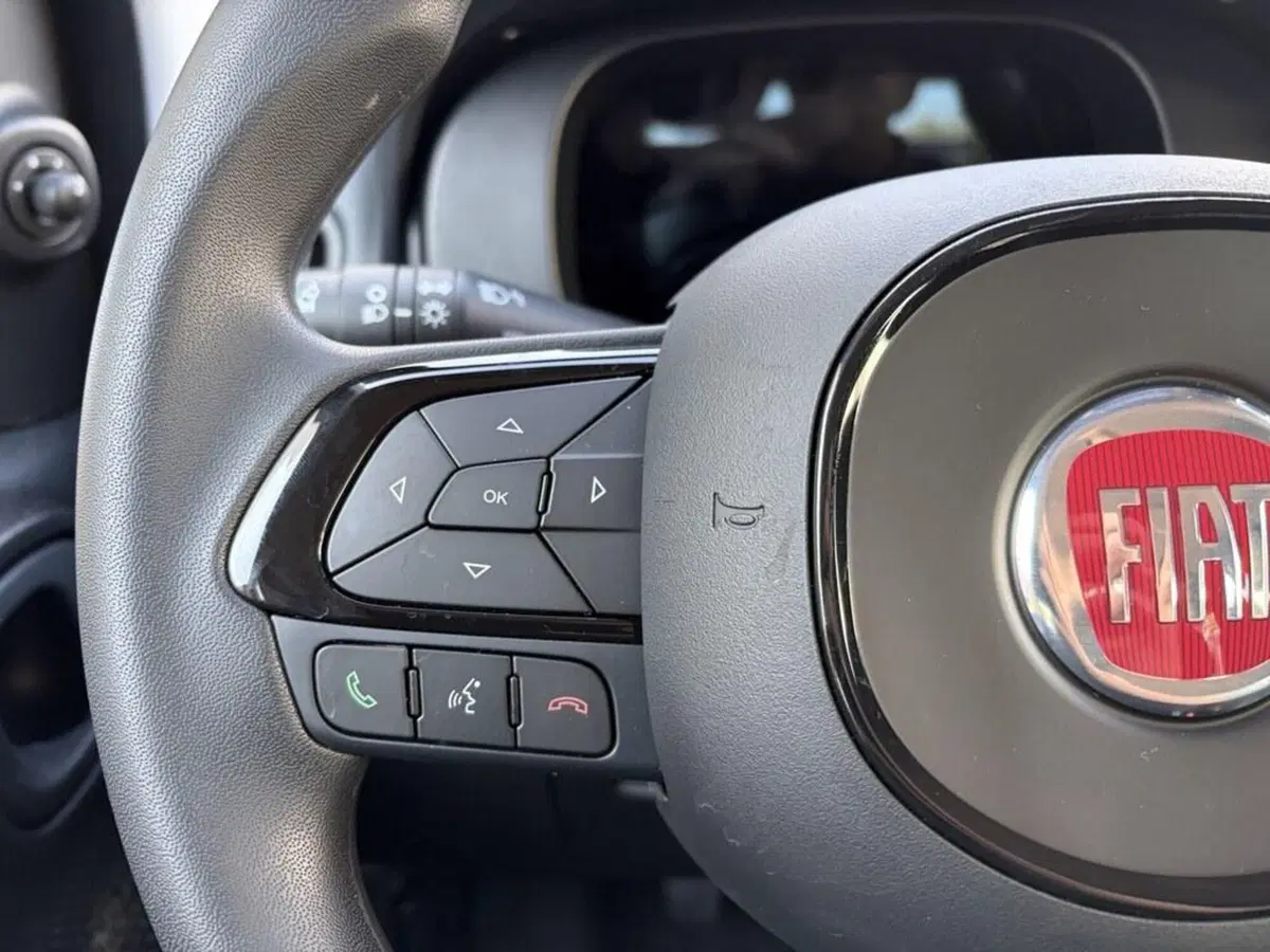 Fiat Pandina nuova a Torino (13)