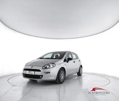 Fiat Punto 1.3 MJT II S&S 95 CV 5 porte Street del 2017 usata a Corciano