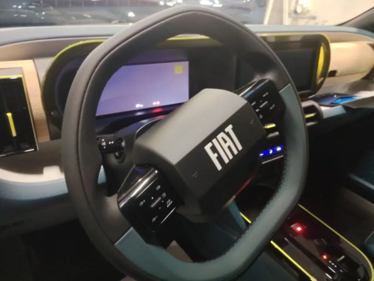 Fiat Grande Panda nuova a Forlì-Cesena (14)