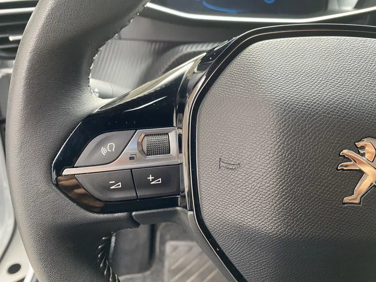 Peugeot 2008 usata a Torino (13)
