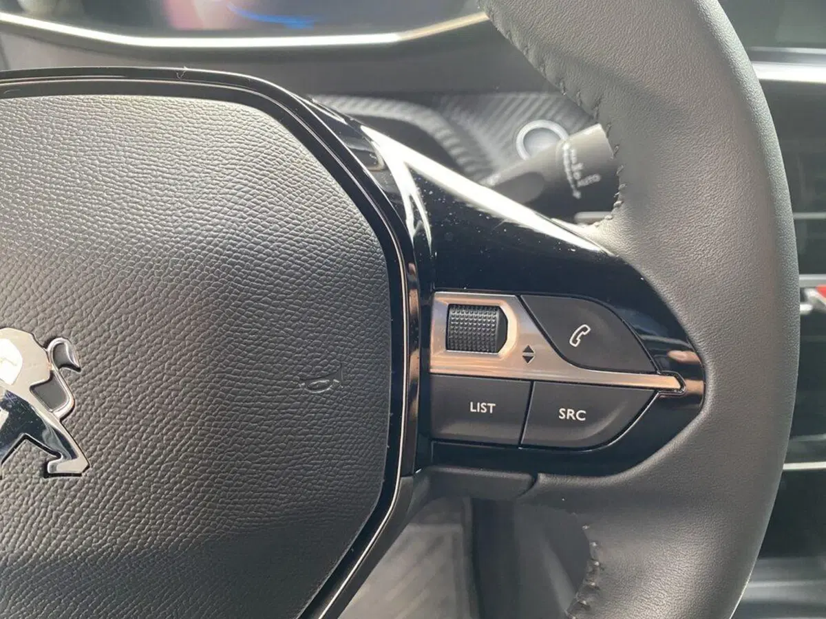 Peugeot 2008 usata a Torino (14)