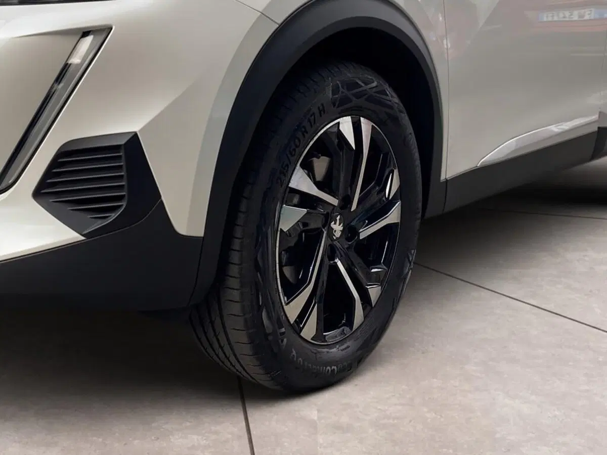 Peugeot 2008 usata a Torino (15)