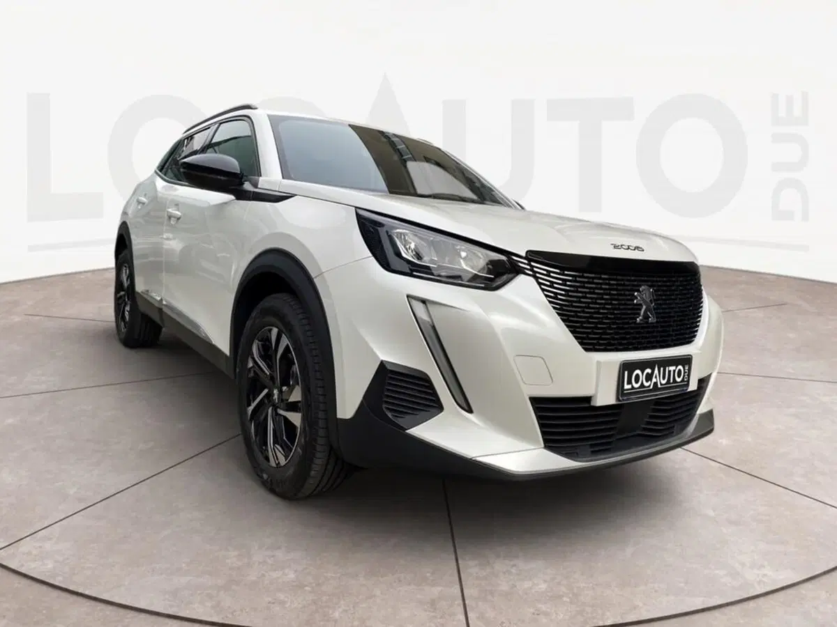 Peugeot 2008 usata a Torino (3)