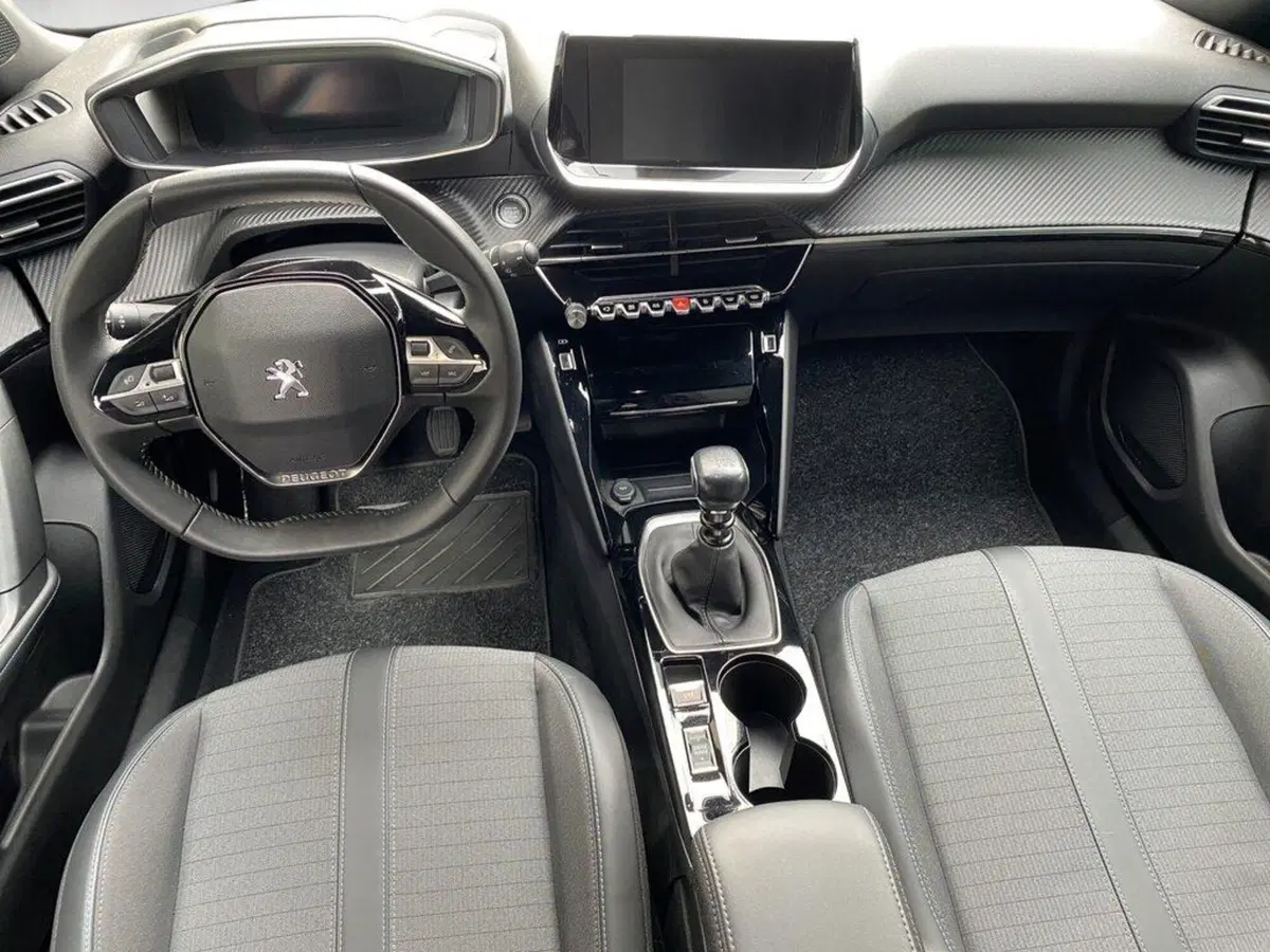 Peugeot 2008 usata a Torino (6)