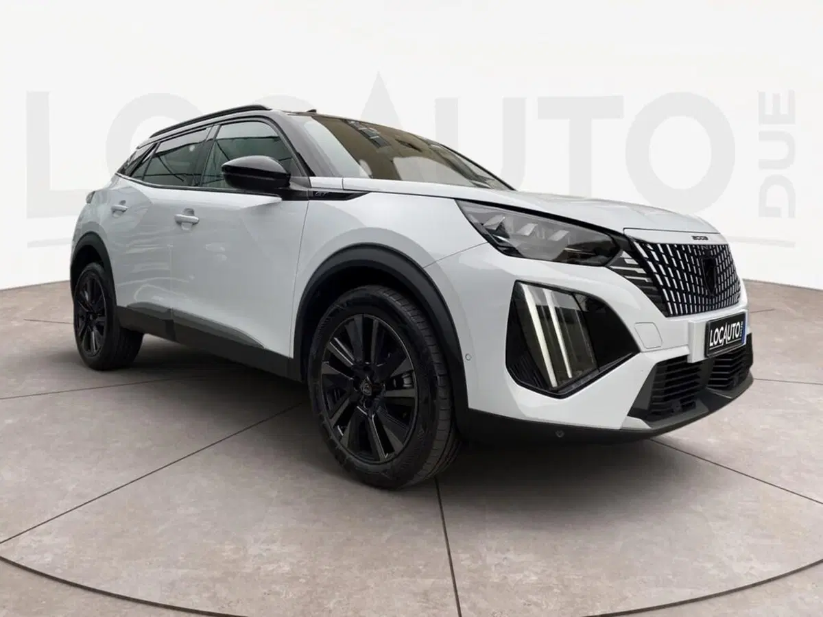 Peugeot 2008 usata a Torino (3)