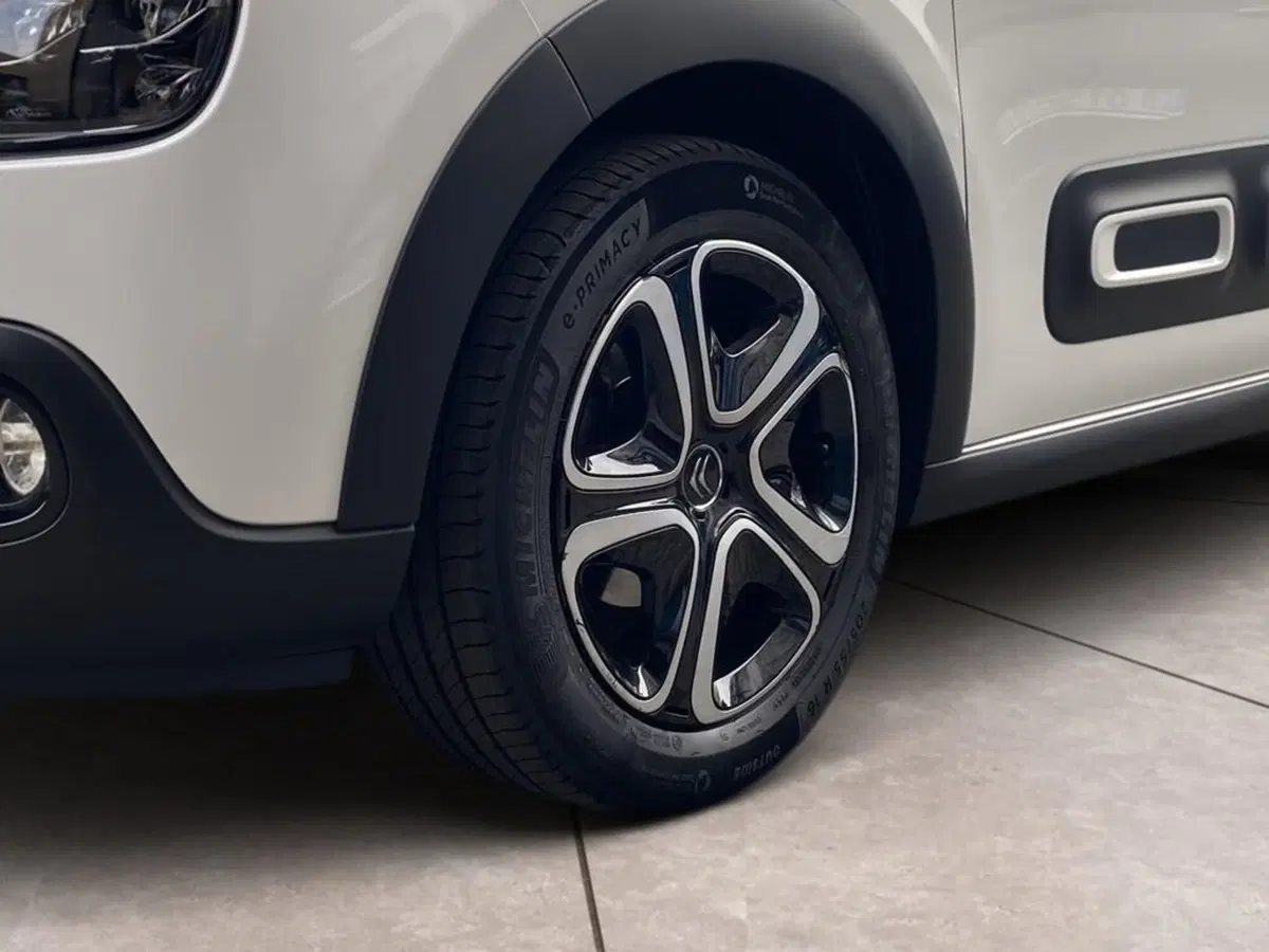 Citroen C3 usata a Torino (15)