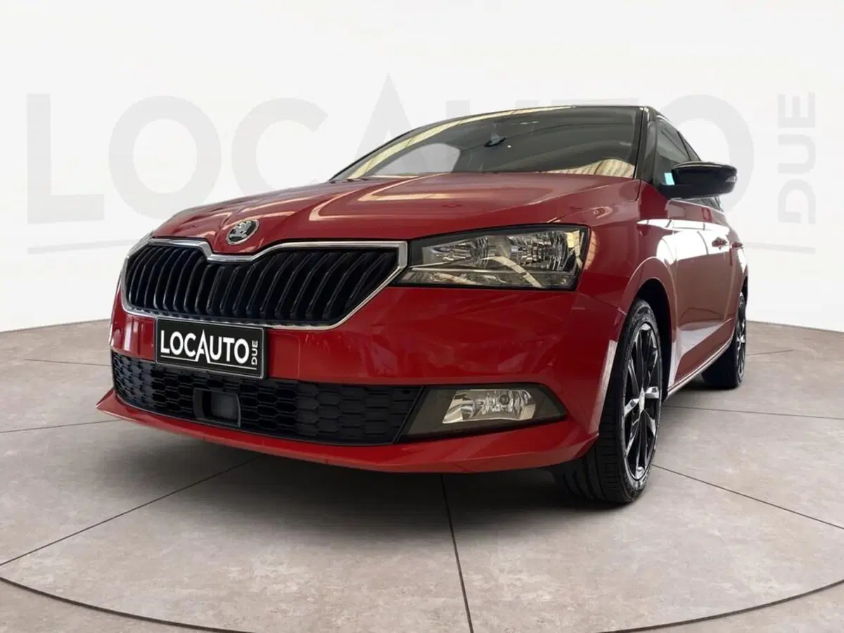 Skoda Fabia usata a Torino