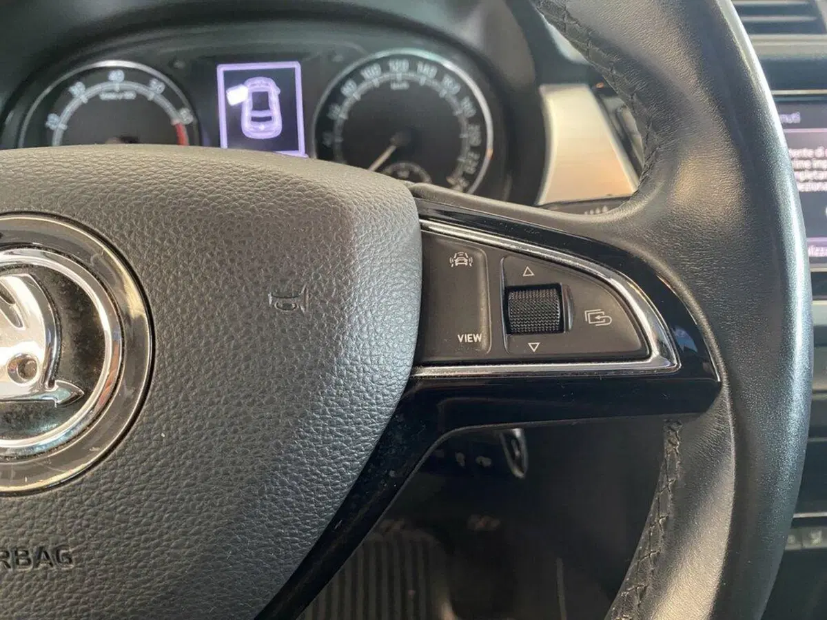 Skoda Fabia usata a Torino (14)