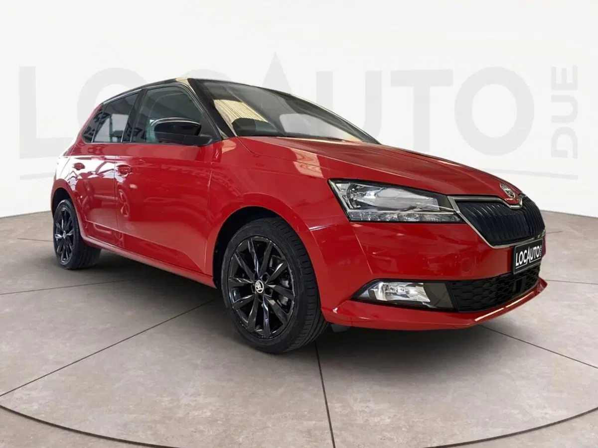 Skoda Fabia usata a Torino (3)