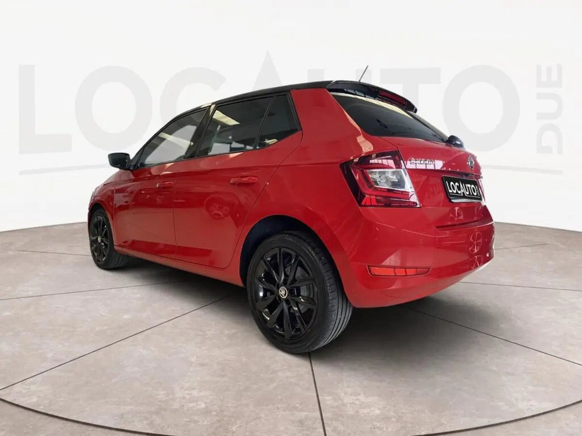 Skoda Fabia usata a Torino (5)