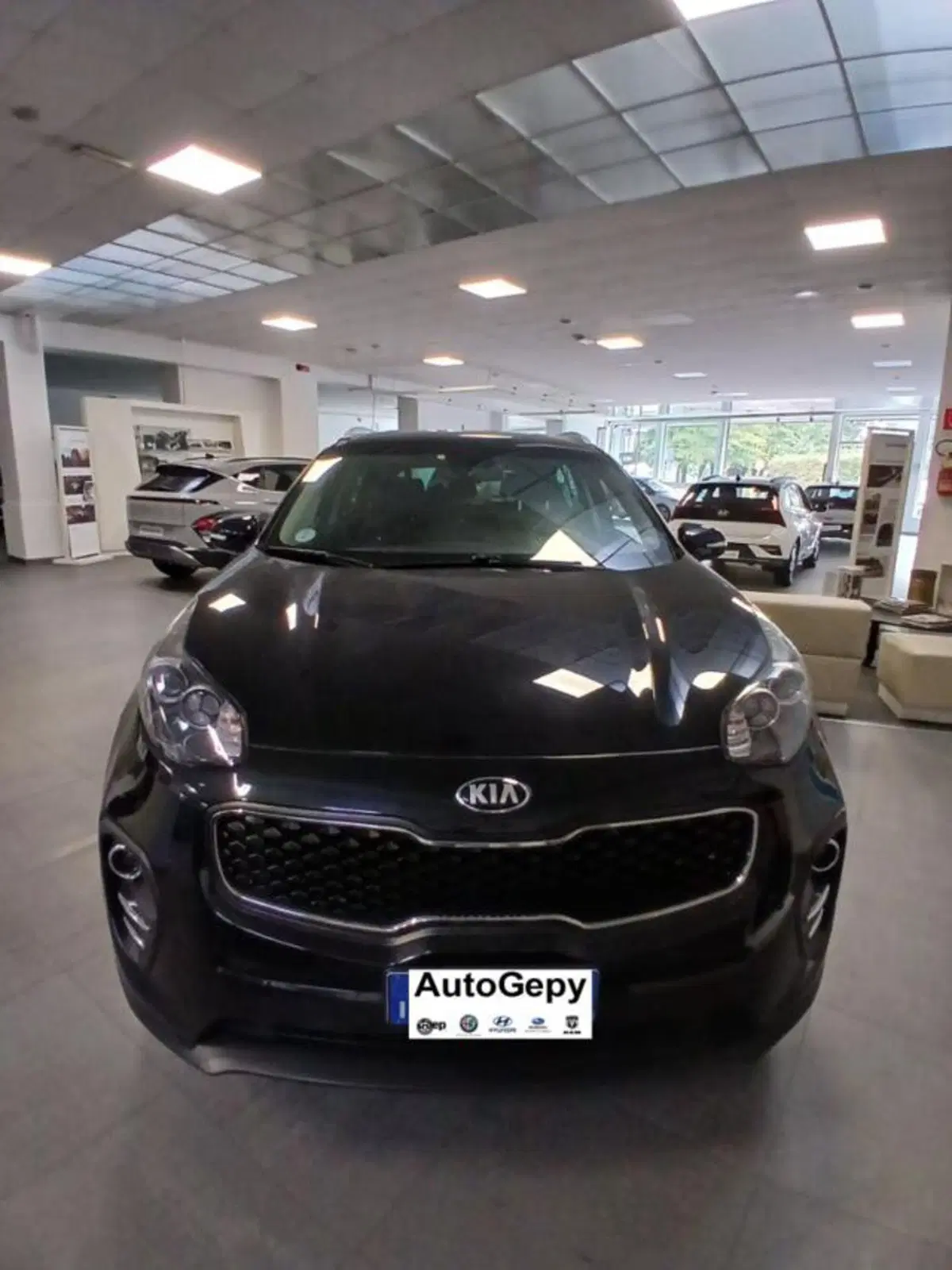 Kia Sportage usata a Parma (5)